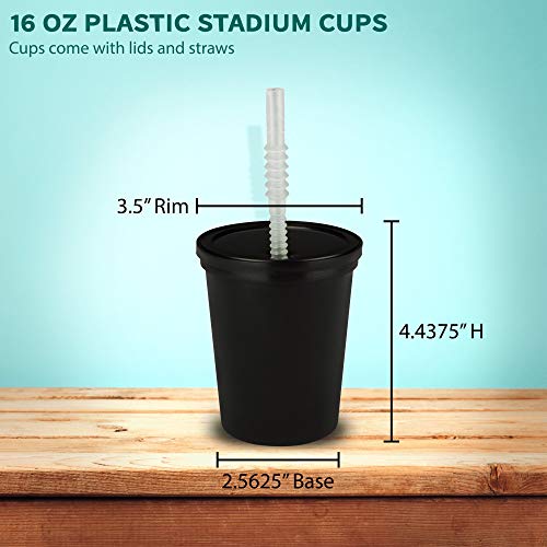 Plastic Stadium Cups with Lid and Straw, 10 pack, 16 oz. Silly Straws
