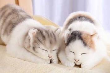 Amazon Co Jp 癒しねこ 本物そっくりのぬいぐるみ 癒しねこ