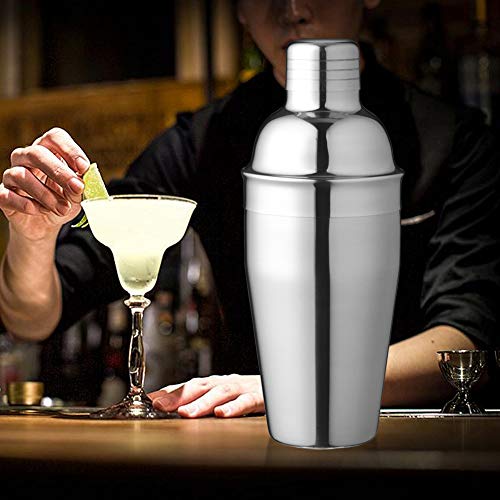 Delidge Cocktail-Shaker aus Edelstahl in Lebensmittelqualität, 750 ml, Martini-Shaker und Sieb für große Getränke… – Bild 8