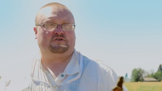 Cox's Honey - Creamed Whipped Honey Raw Unfiltered, 40 OZ | 100% Pure Clover Delicious Honey - Product of the USA - Image 4