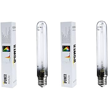 Amazon.com : iPower 600 Watt High Pressure Sodium Super ...