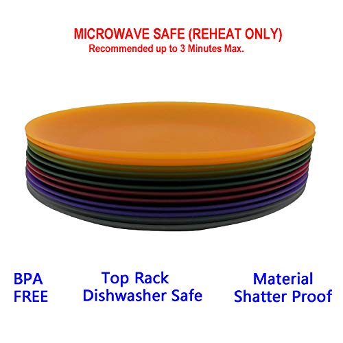 AOYITE Everyday Plastic Reusable Plates BPA Free Dishwasher Safe