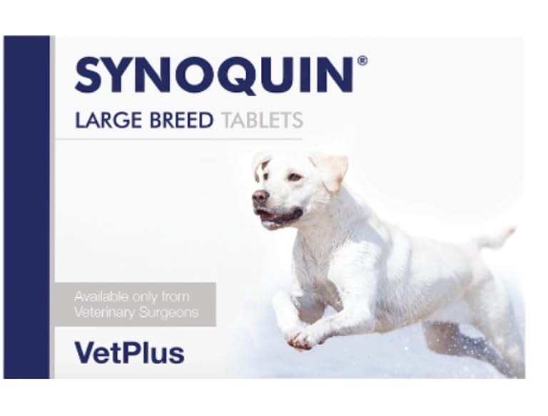 Synoquin Tasty Large Breed x 1