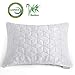 TEFOTO Memory Foam Pillow (King)