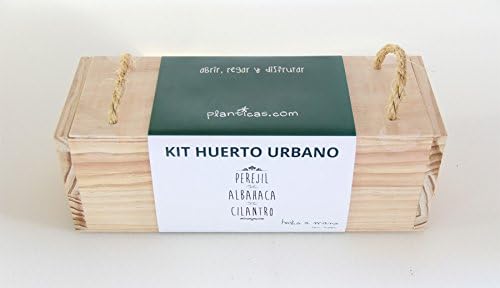 Kit de Huerto Urbano: Perejil, Albahaca y Cilantro: Amazon.es: Jardín