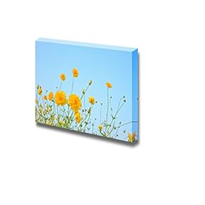 Canvas Prints Wall Art - The Cosmos Flower on Blue Sky Background | Modern Wall Decor/Home Decoration Stretched Gallery Canvas Wrap Giclee Print. Ready to Hang - 12" x 18"