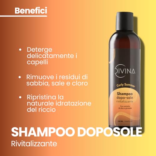 Curly Summer Complete Treatment Kit for Summer, Curly, Super Curly, Afro by Divina BLK, 4 Products