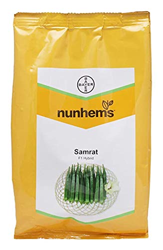 Nunhems Organic F1 Hybrid OKRA SAMRAT High yielding Vegetable seeds
