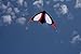 Stunt Sports Delta Kite 62 inches wide, for kids and adults outdoor sports fun toy