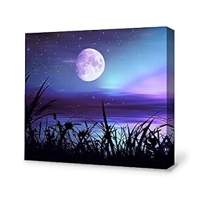 SIGNFORD Canvas Wall Art for Living Room,Bedroom Home...