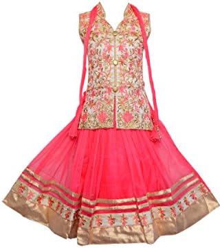 Sky Heights Net Lehenga Choli
