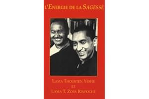 Énergie de la sagesse