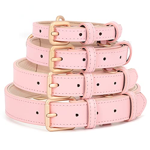 LEACOOLKEY Hundehalsband aus Leder für kleine mittelgroße Hunde Verstellbares, weiches, atmungsaktives, gepolstertes Welpenhalsband mit Aluminiumschnalle wasserdichtes Hundehalsband