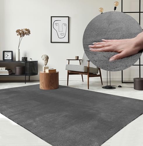 the carpet Relax Moderner Flauschiger Kurzflor Teppich, Anti-Rutsch Unterseite, Waschbar bis 30 Grad, Super Soft, Felloptik, Anthrazit, 300 x 400 cm