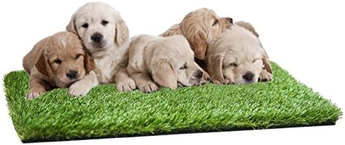 MTBRO Artificial Grass for Dogs Pee Pads, Perfect Artificial Turf for Puppy Potty Training and Outdoor Replacement Grass Mat, Easy to Clean with Drain Holes, Blade Height 1.5",24"x16"