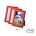 FISKBO Home Decoration Simple Photo Frames 3 Package (Red 4x6)