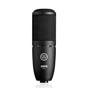 AKG P120 High-Performance General Purpose Recording Microphone