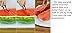 GreenEssentials Sturdy Watermelon Slicer, 9.2 x 1.18 Inches Silver