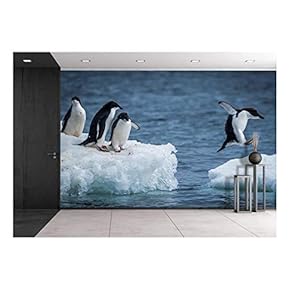 Adelie Penguin Jumping Between Two ice floes - Removable Wall Mural | Self-Adhesive Large Wallpaper - 66x96 inches