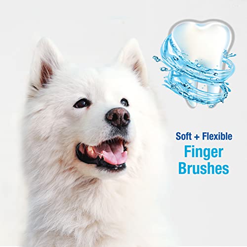 Nylabone Advanced Oral Care Finger Brush 2 Count One Size Pricepulse