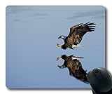 (Precision lock edge mouse pad) Animal Avian Beak