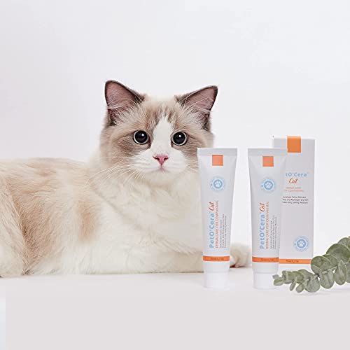 Soothe cats itchy skin