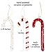 SALLY FOSTER Ceramic Candy Cane Ornaments - Set Of 3