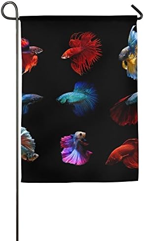 EHAKB Davis Relev 12.5 x 18 inch Betta Fish Siamese Fighting Fish Betta Splendens Aquarium Moment of Siamese Fighting Fish Family Garden House Home Demonstration Competition Flag