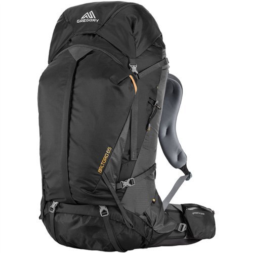 Gregory Mountain Products Baltoro 65 Liter Menâ€™s Multi Day Hiking Backpack | Backpacking, Camping, Travel | Rain Cover Included, Hydration Sleeve and Daypack Included, Durable Straps and Hipbelt | Premium Comfort on the Trail