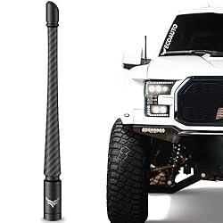 EcoAuto Universal Radio Antenna Topper for Trucks