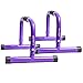 BodyRock Mini Dip Bar Station: Challenger Mini Parallette Bars for Dips & Calisthenics - Parallel Bars to Build Core Strength, Balance & Tricep, Arm & Shoulder Muscles - Fitness Equipment for Home Gym