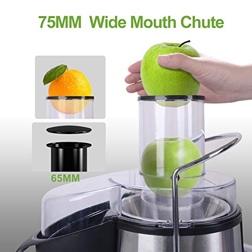 1 Hilax+Extractor+Spin+power+Stainless+Vegetable