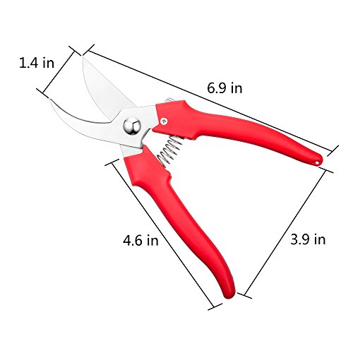 Ebaco Professional Sharp Bypass Pruning Shears, Tree Trimmers Gardening Scissors,Hand Pruner, Garden Shears,Clippers For The Garden. … (Pruning Shears)