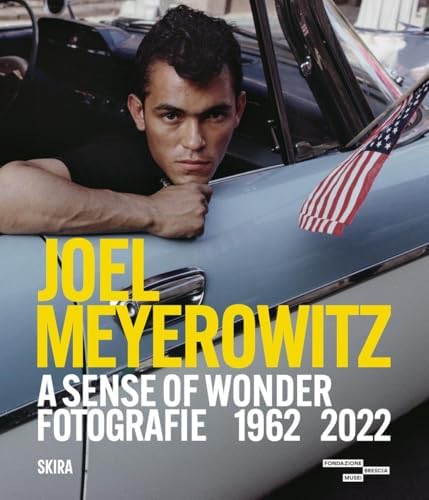 Amazon.com: Joel Meyerowitz: Retrospective: 9781938922701: Goertz 