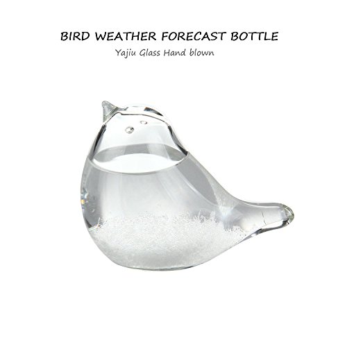 Lesgos Storm Glass, Creative Stylish Weather Station Forecaster Storm Glass Crystal Desktop Decor Glass for Home Office Birthday - Thumbnail 4