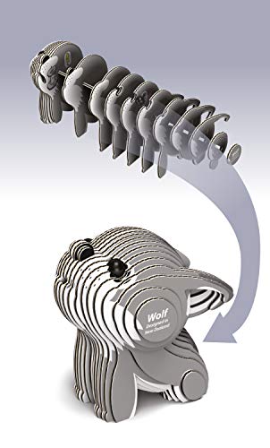 3 Brainstorm+Toys+D5008+EUGY+Craft