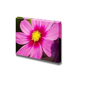 Canvas Prints Wall Art - Cosmos Flower | Modern Wall Decor/Home Decoration Stretched Gallery Canvas Wrap Giclee Print. Ready to Hang - 12" x 18"