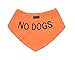 Dexil NO Dogs Orange Dog Bandana Quality Personalised Embroidered Message Neck Scarf Fashion Accessory Prevents Accidents by Warning Others of Your Dog in Advance