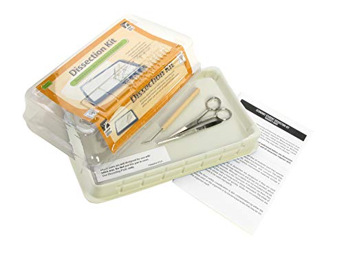 American Educational Economy Dissection Student Kit