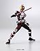Bandai Hobby Figurerise 6 Kamen Rider Faiz Action Figure Model Kit