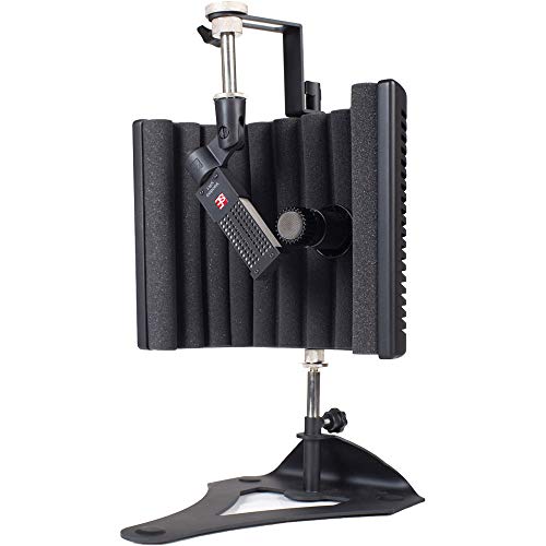 sE Electronics Voodoo VR1 Passive Ribbon Microphone with Guitar