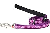 Red Dingo Designer Dog Lead, Small, Breezy Love Purple