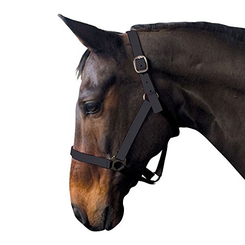 Requisite Econ Head Collar Horse Riding Accessories Headcollar Amazon
