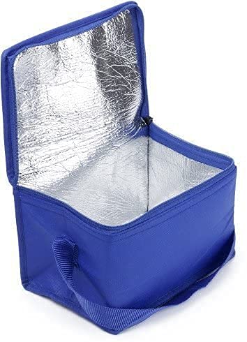 Shentian Small Cool Bag Cooler Box I 3656 Blue for 6 Cans