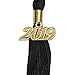 Endea Graduation Single Color Tassel with Gold Date Drop (Black, 2029)