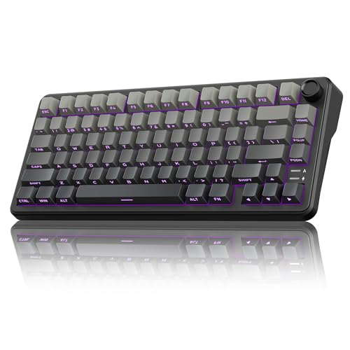 RedThunder K75 Wireless Mechanical Gaming Keyboard 75%