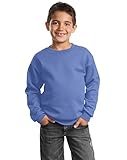 Port & Company Boys' Crewneck Sweatshirt