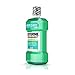 Listerine Freshburst Antiseptic Mouthwash for Bad Breath, Kills 99% of Germs That Cause Bad Breath & Fight Plaque & Gingivitis, ADA Accepted Mouthwash, Spearmint, 1.5 L