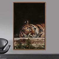 Framed Canvas Wall Art Tiger Animals Chic Dramatic Lion Living Room Multicolor Photography - 16x24 inches