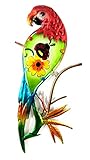 Bejeweled Display® Parrot w/ Glass Wall Art Plaque &amp; Home Decor ()